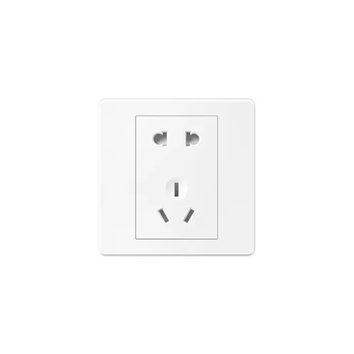 Socket (30)